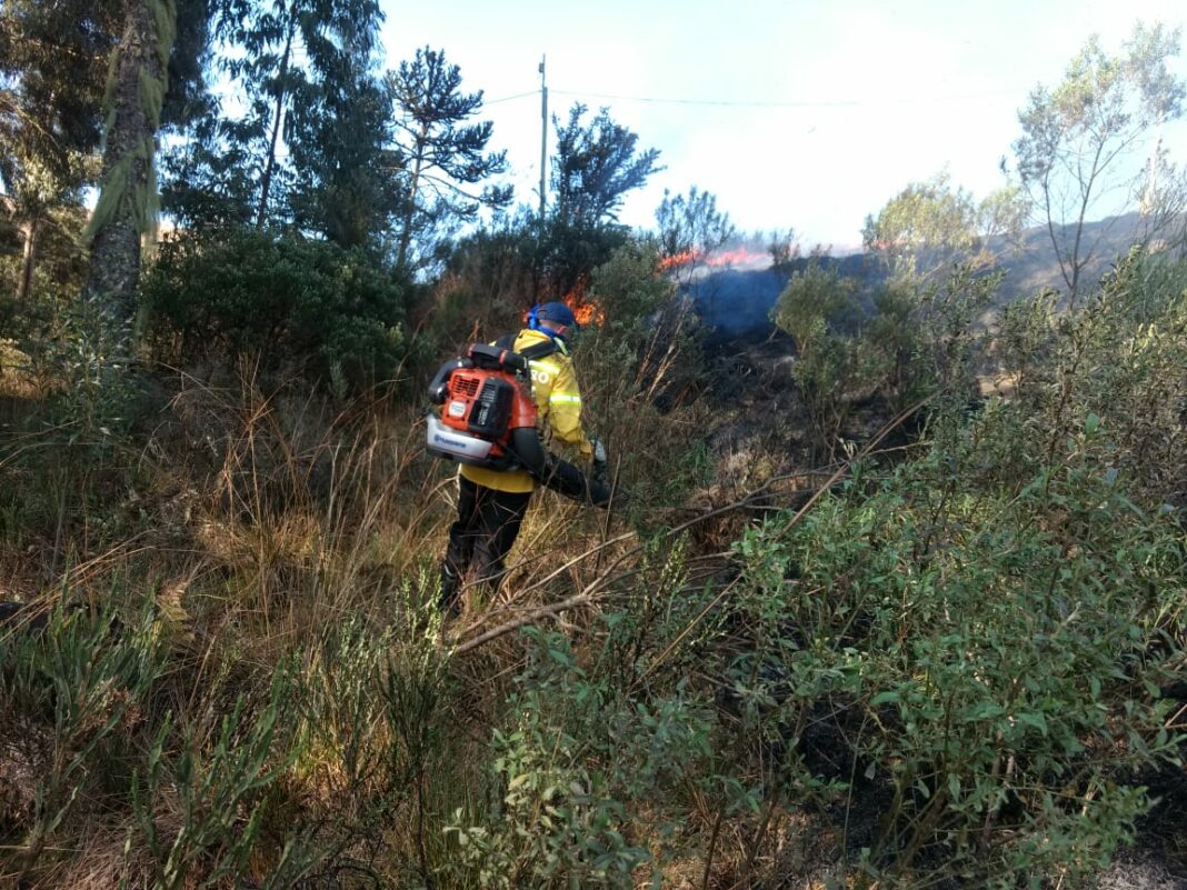 incendios (2)