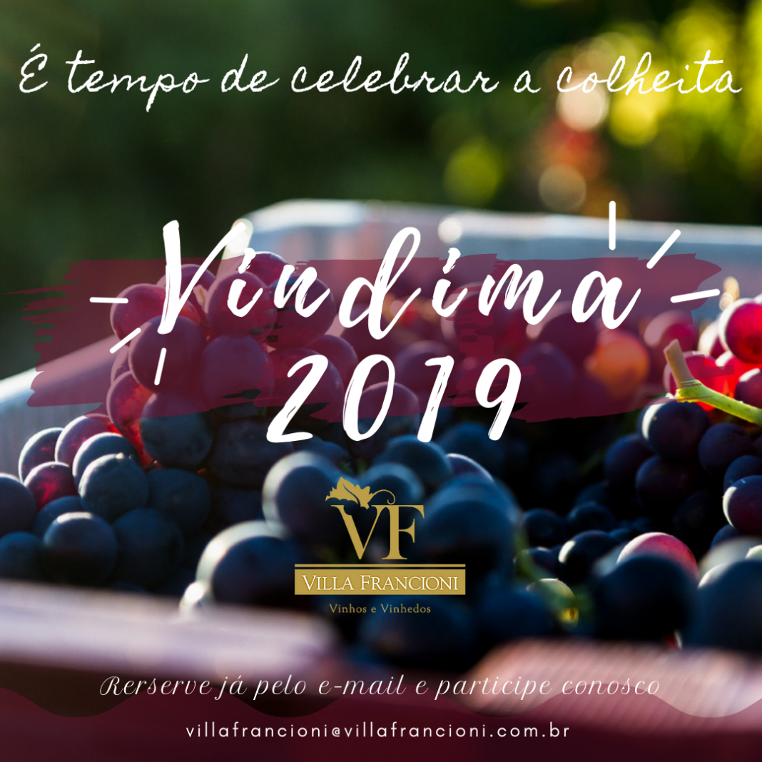 VINDIMA VF 2019