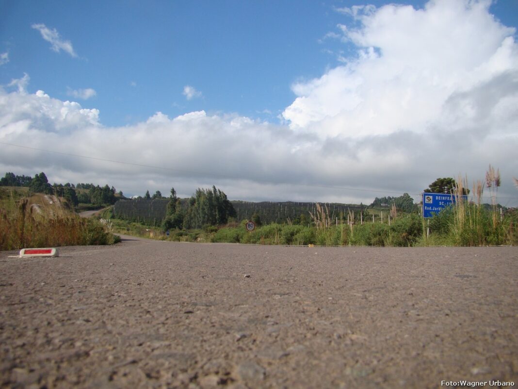 DSC08936