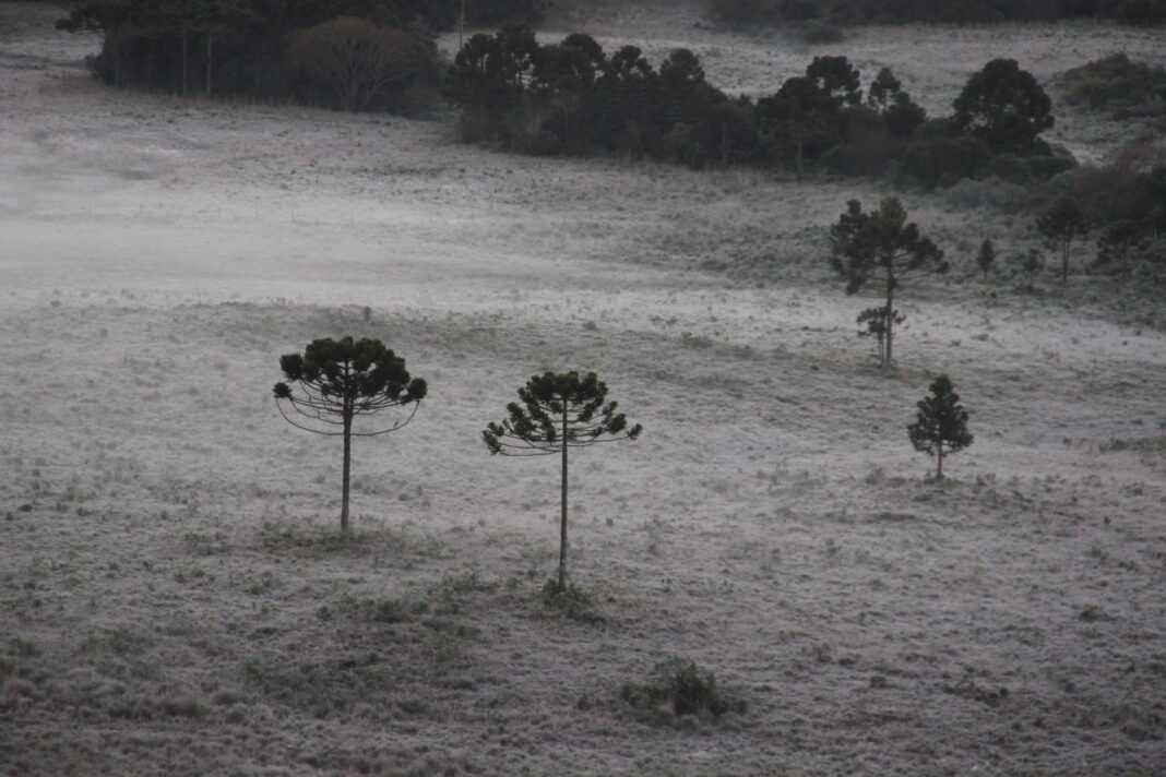 Frio e geada em São Joaquyim - Na Serra Catarinense. FotoWagner Urbano (17)