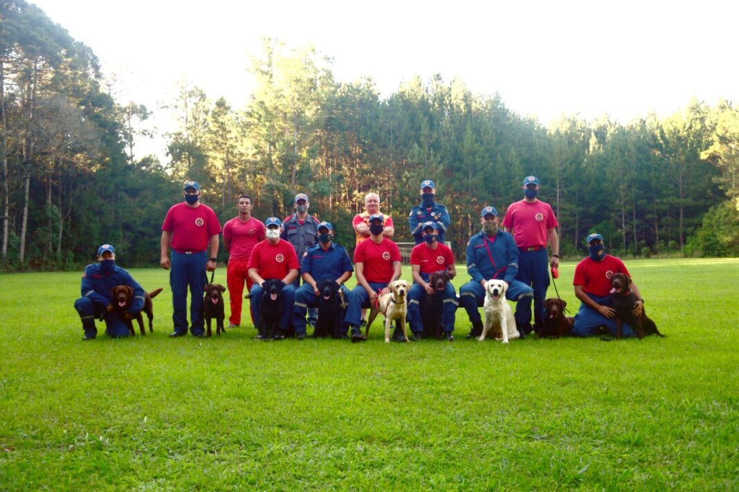 Cães do CBMSC