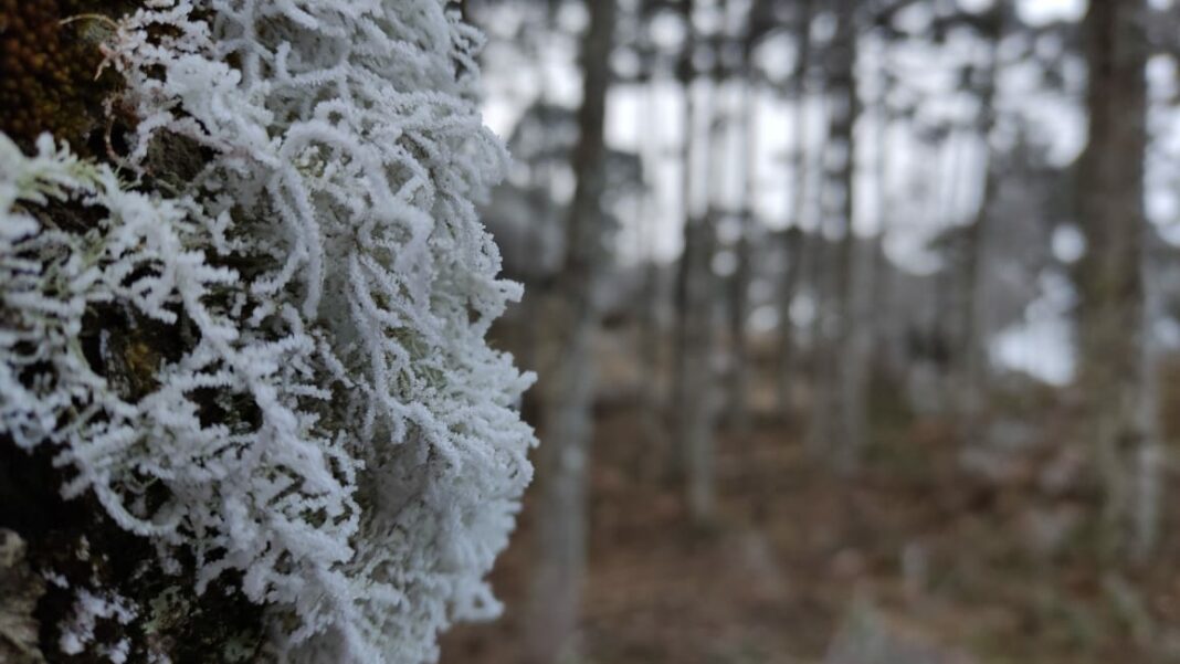 46324974-ed56-4b67-8784-feb97c3b3443