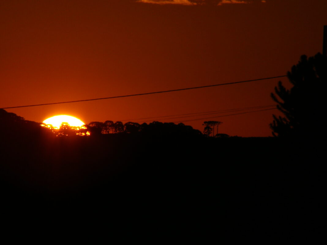 DSC07382