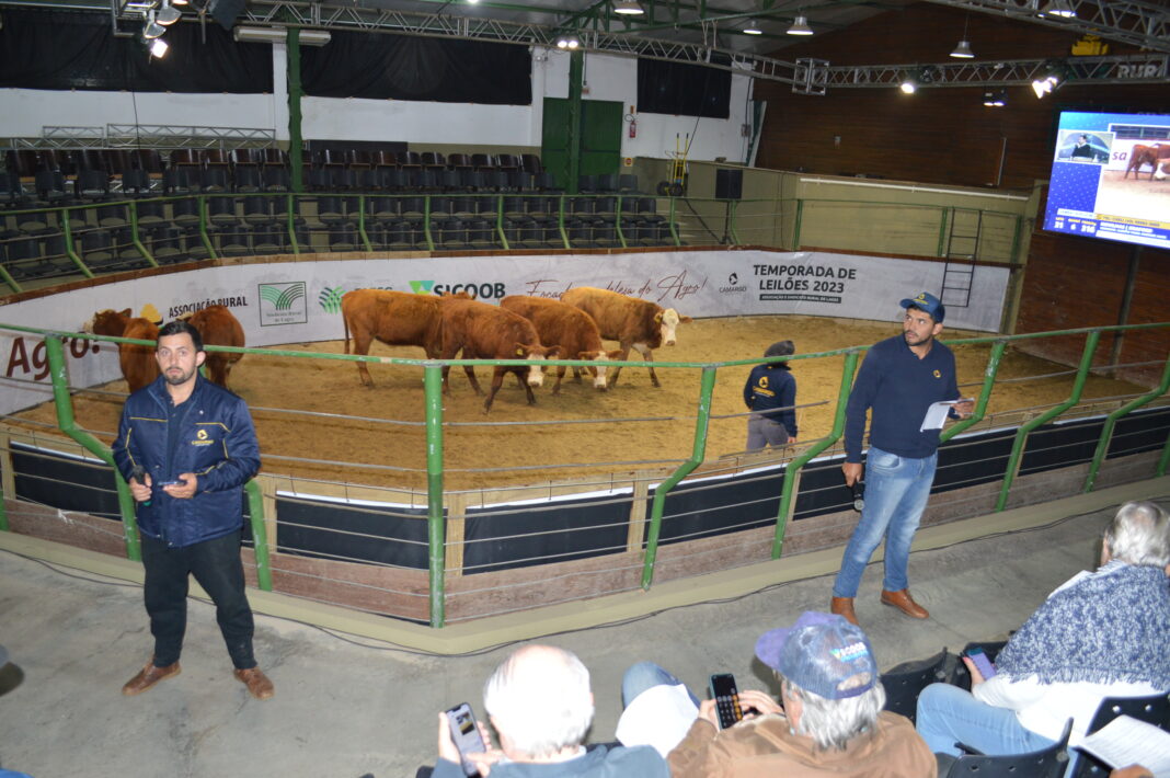 Feira de Gado Geral (6)