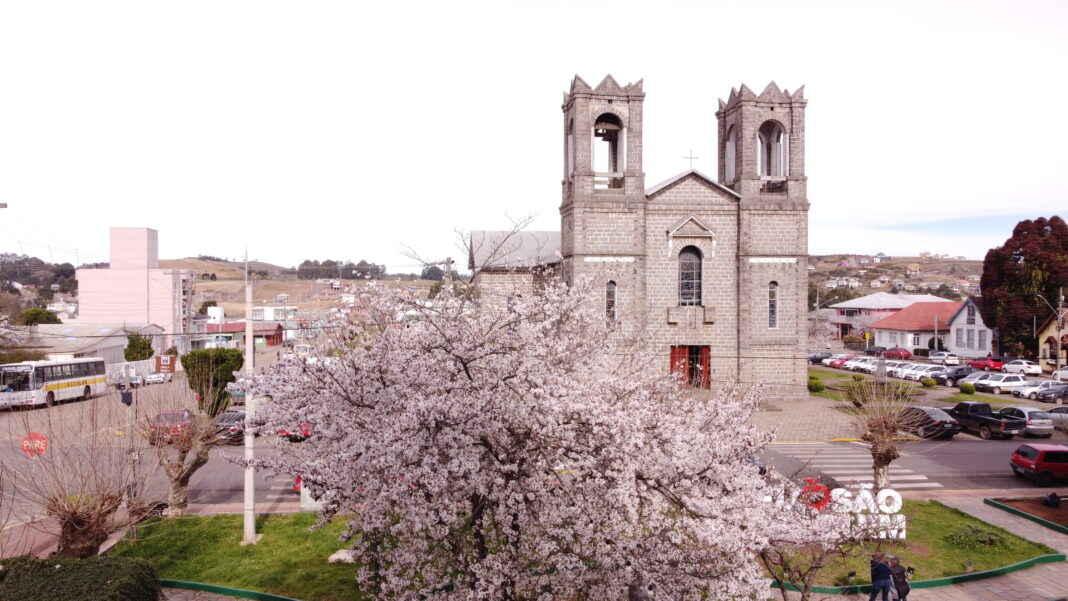 DCIM101MEDIADJI_0010.JPG