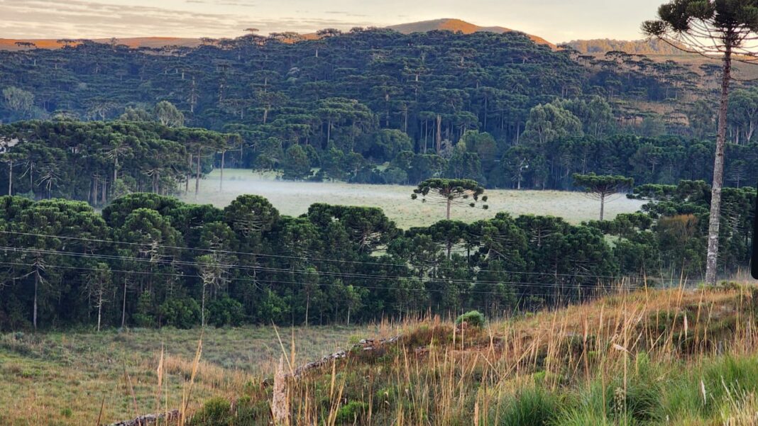 Imagem do WhatsApp de 2024-04-22 à(s) 06.54.08_38c61625