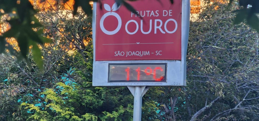 Imagem do WhatsApp de 2025-03-25 à(s) 08.55.48_043ed977