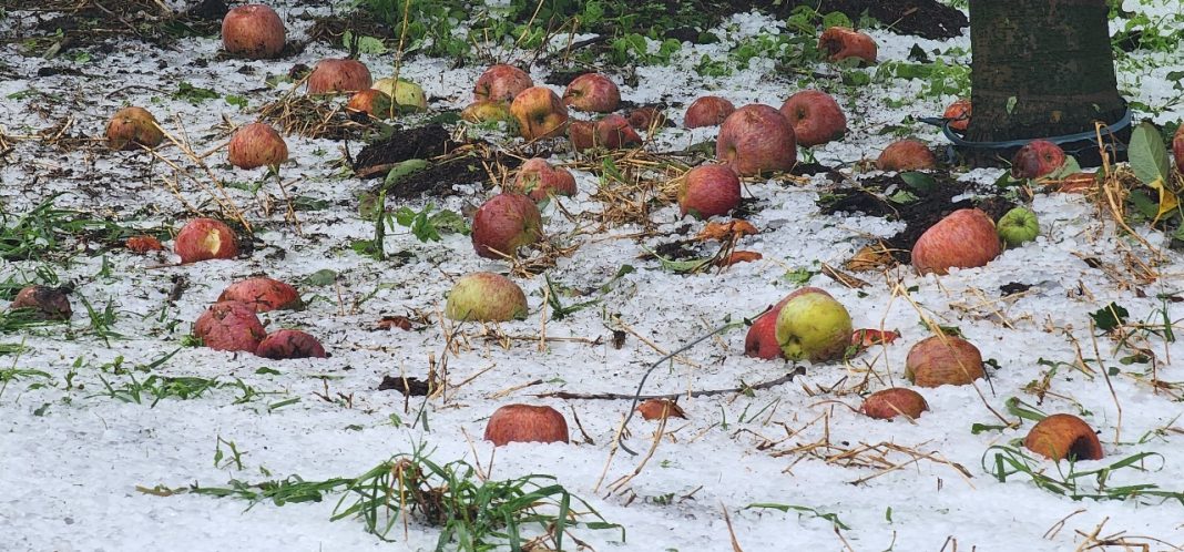 GRanizo (3)