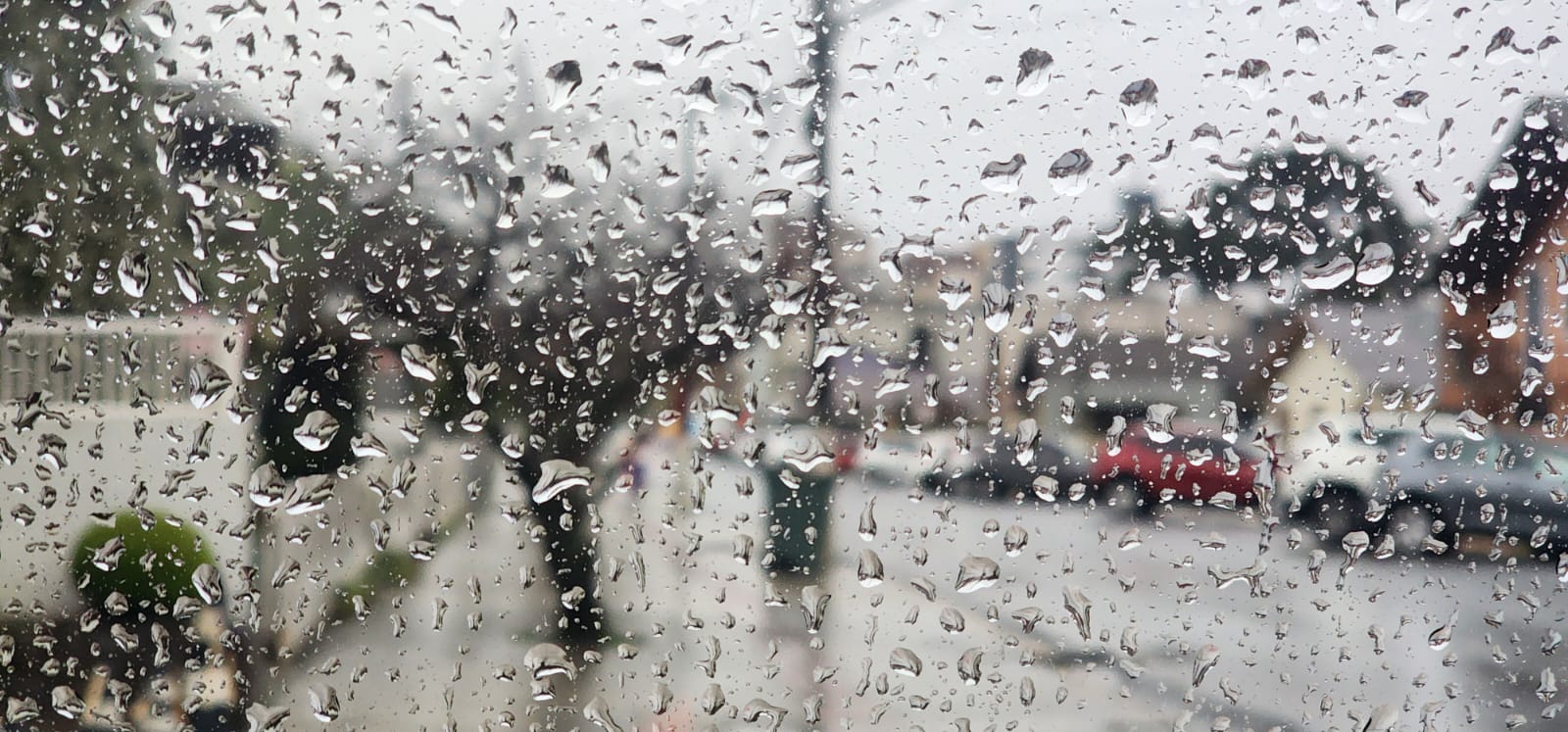 Imagem do WhatsApp de 2025-09-08 à(s) 09.55.49_b56fb645