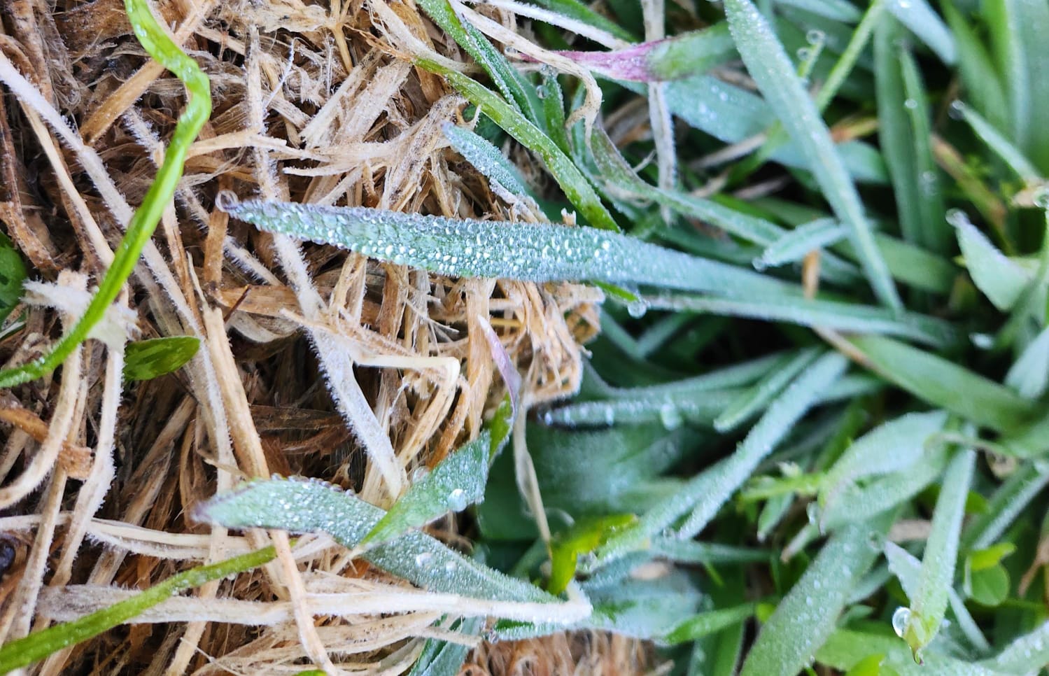 Imagem do WhatsApp de 2025-09-29 à(s) 07.36.22_6286de23