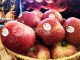 Santa Catarina celebra o Dia Internacional da Maçã com destaque para São Joaquim, referência nacional na produção da fruta