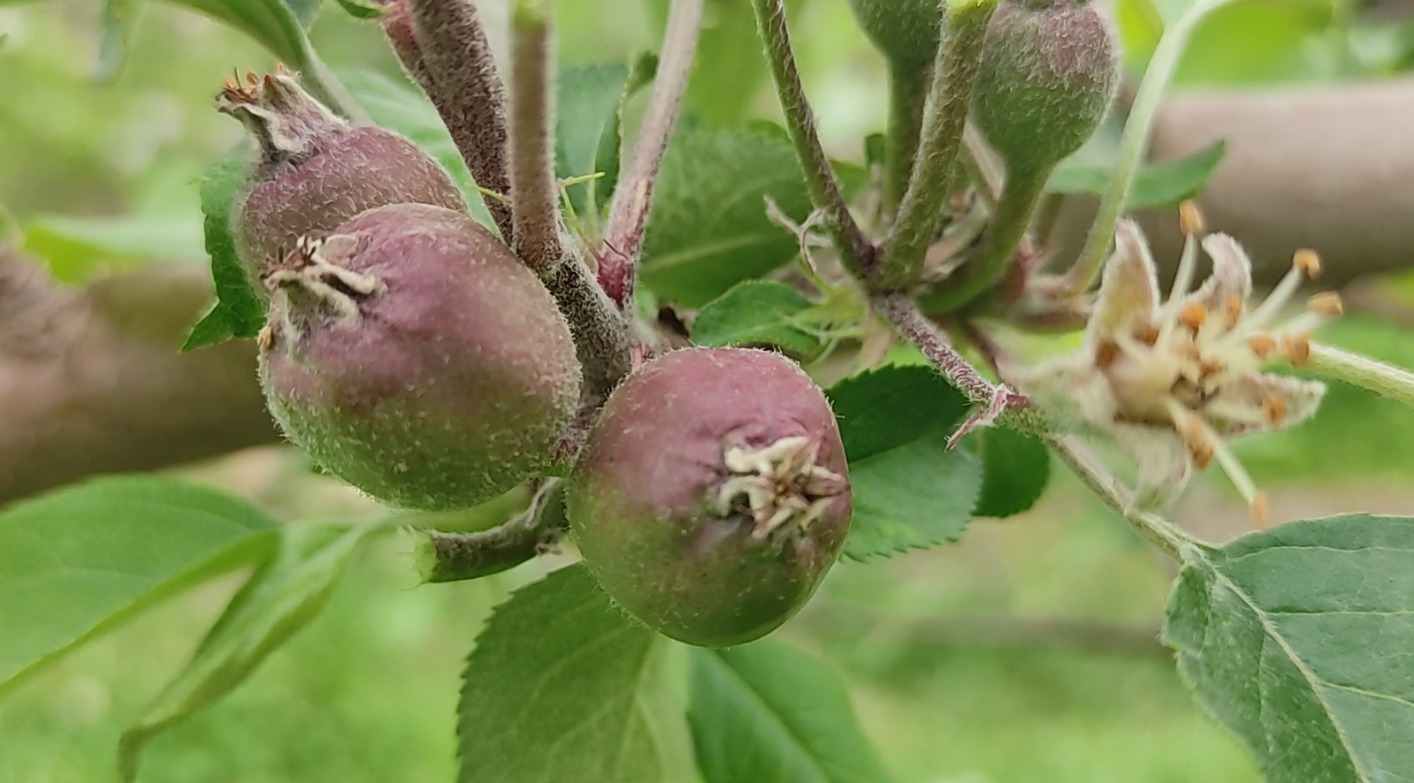 WhatsApp Image 2025-10-28 at 17.49.45