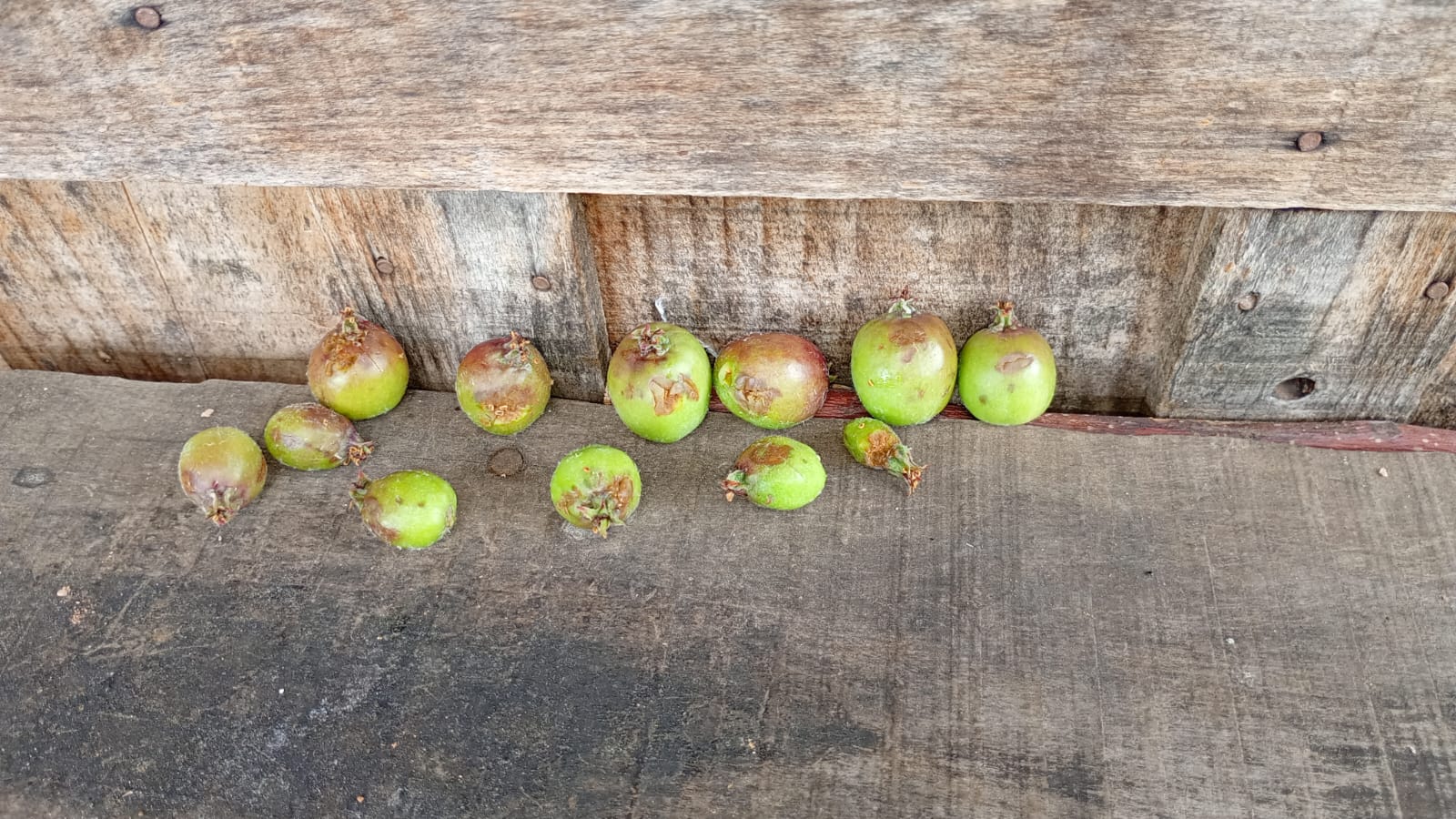 WhatsApp Image 2025-11-03 at 12.37.52