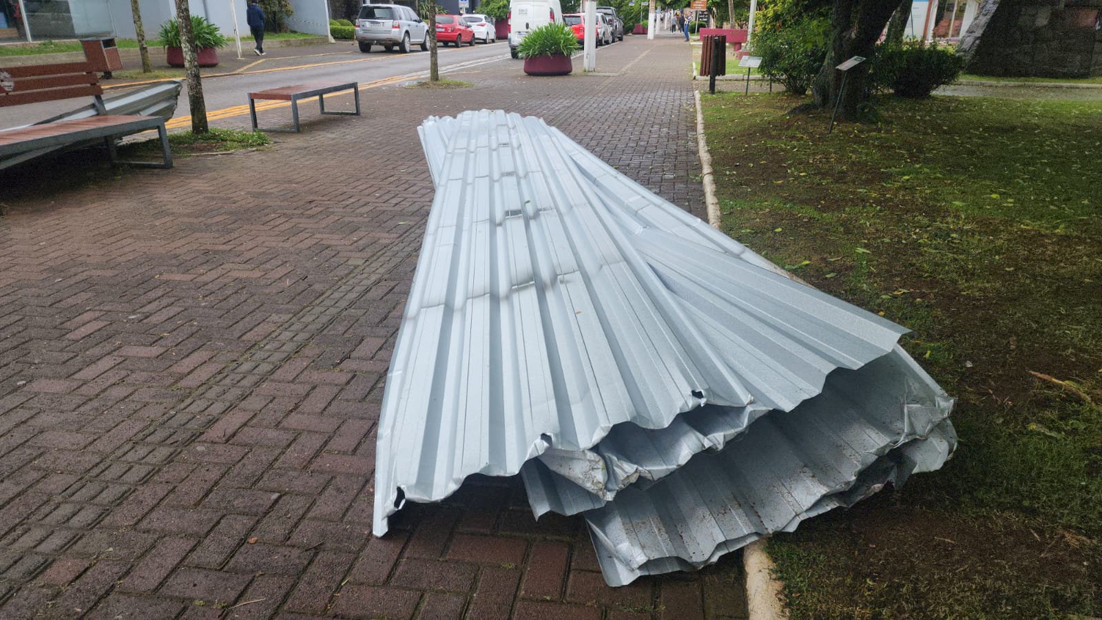 WhatsApp Image 2025-11-07 at 15.33.16