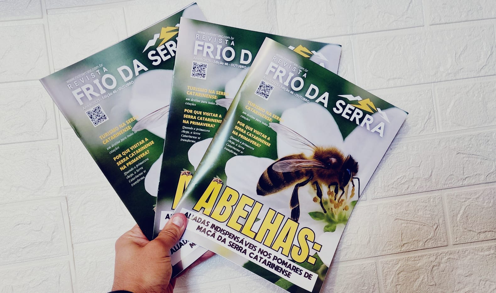 WhatsApp Image 2025-11-11 at 09.09.57