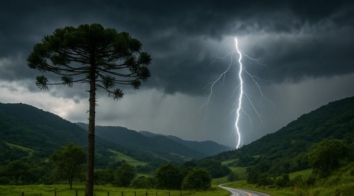 Região Sul terá fim de semana abafado com chance de temporais isolados