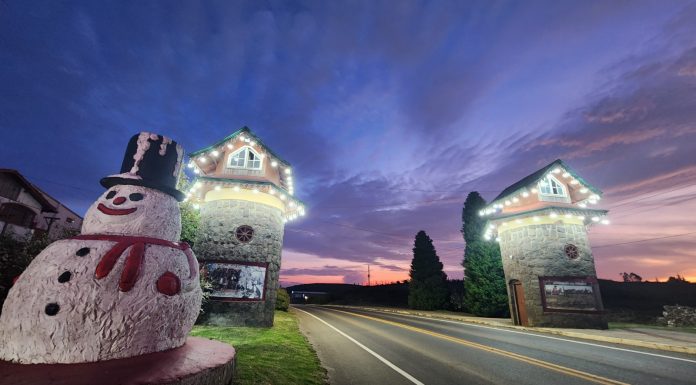 Turismo além do frio – Por que visitar a Serra Catarinense na primavera?