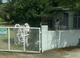 Mulher é atacada por enxame de abelhas em Lages e dois moradores são encaminhados à UPA
