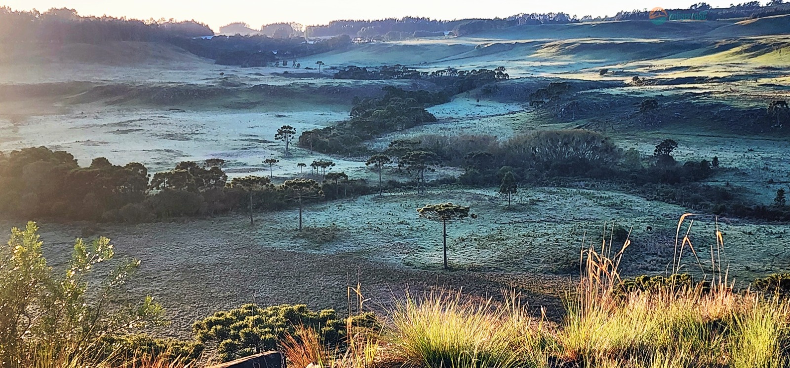 WhatsApp Image 2025-11-20 at 08.46.30