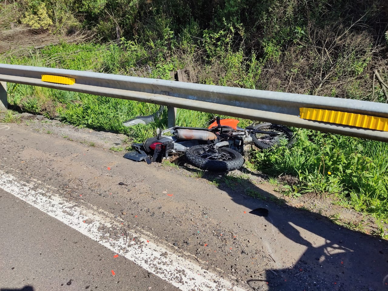 WhatsApp Image 2025-11-22 at 10.31.54