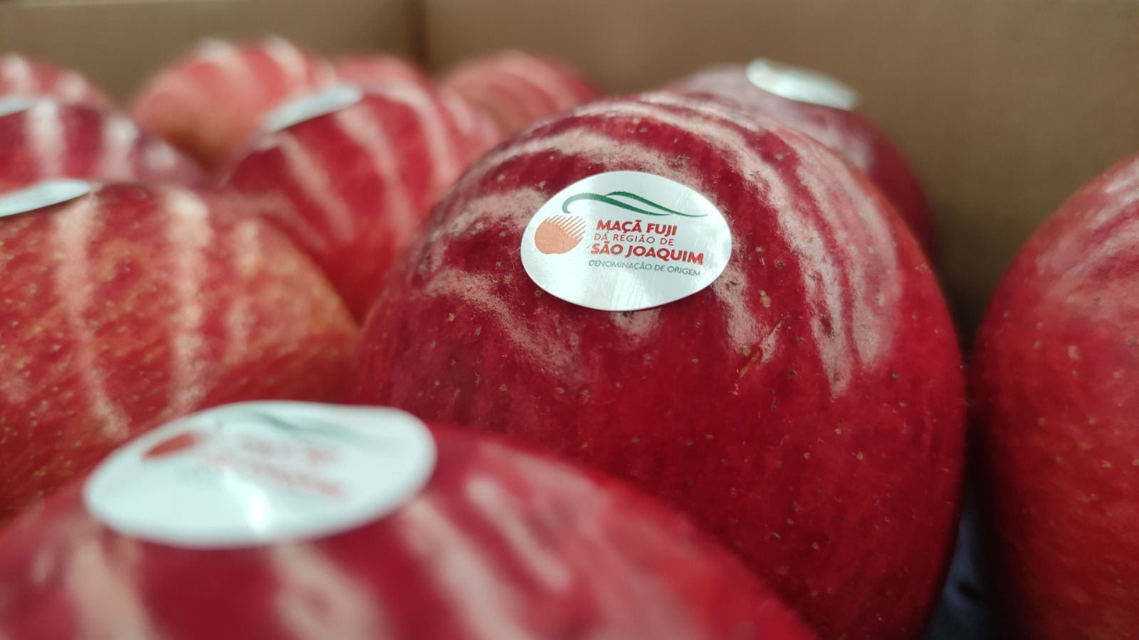 WhatsApp Image 2025-11-25 at 18.13.55 (2)