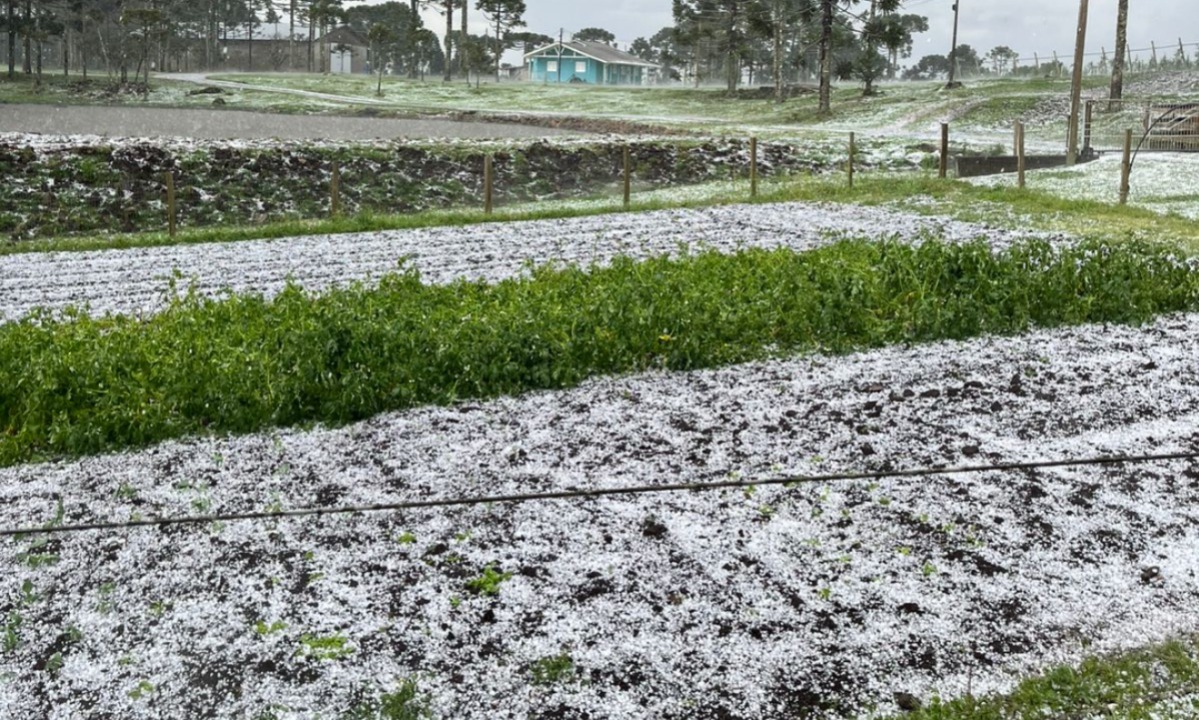 WhatsApp Image 2025-12-07 at 17.49.48