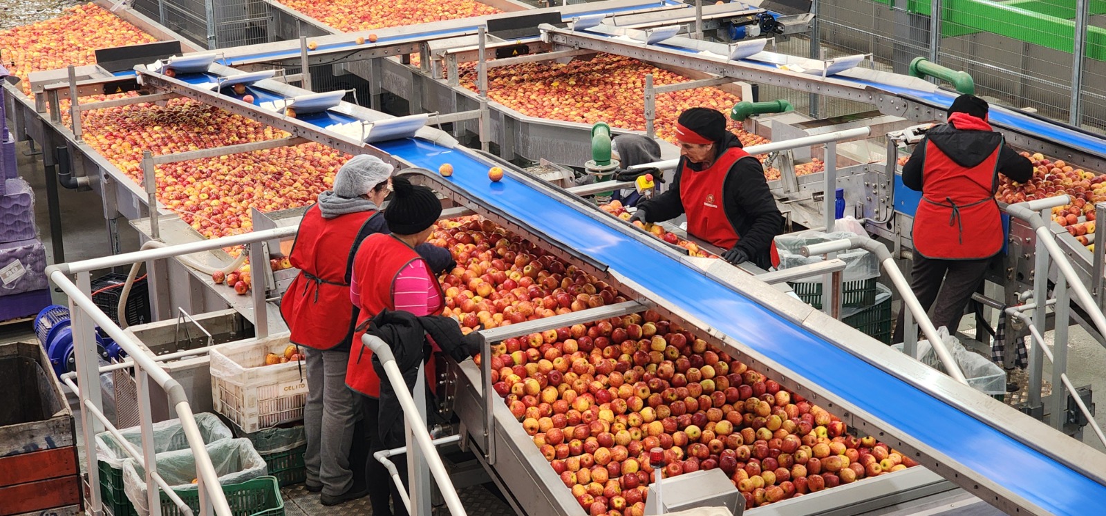 WhatsApp Image 2025-12-08 at 18.39.12