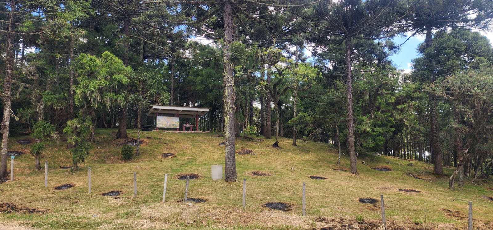 WhatsApp Image 2025-12-11 at 08.18.43 (1)