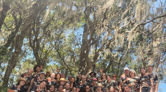 Imersão Alma da Mata – A Ciência Ancestral que Reensina Onde Mora a Cura