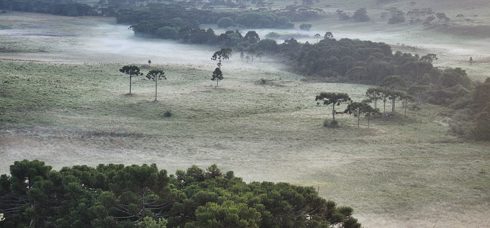 WhatsApp Image 2025-12-17 at 05.58.18