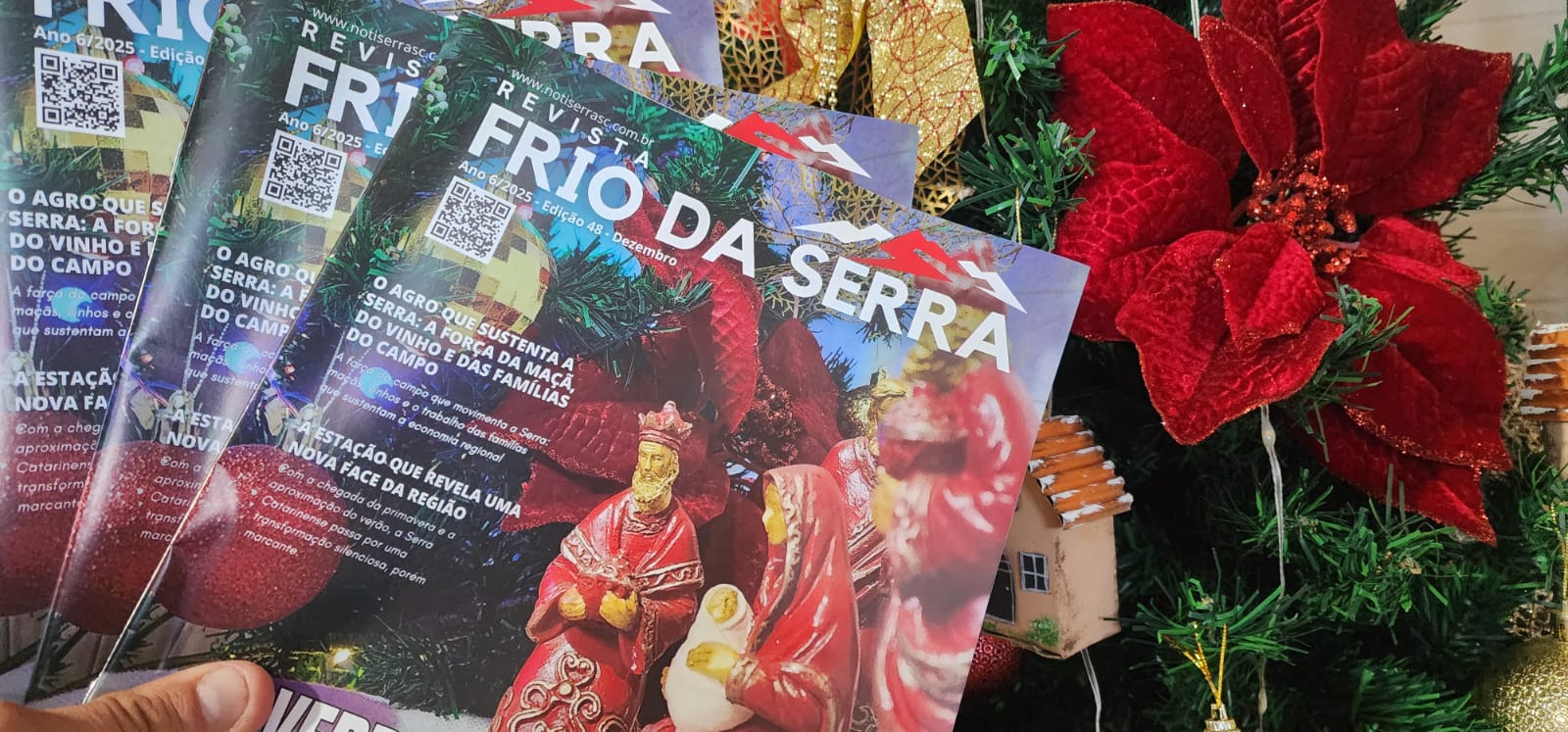 WhatsApp Image 2025-12-17 at 18.17.33