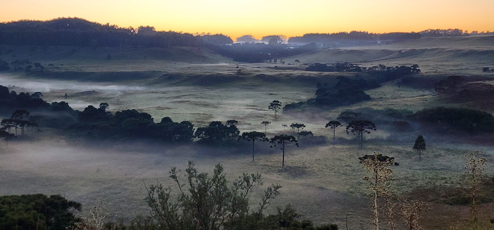 WhatsApp Image 2026-01-05 at 07.11.22