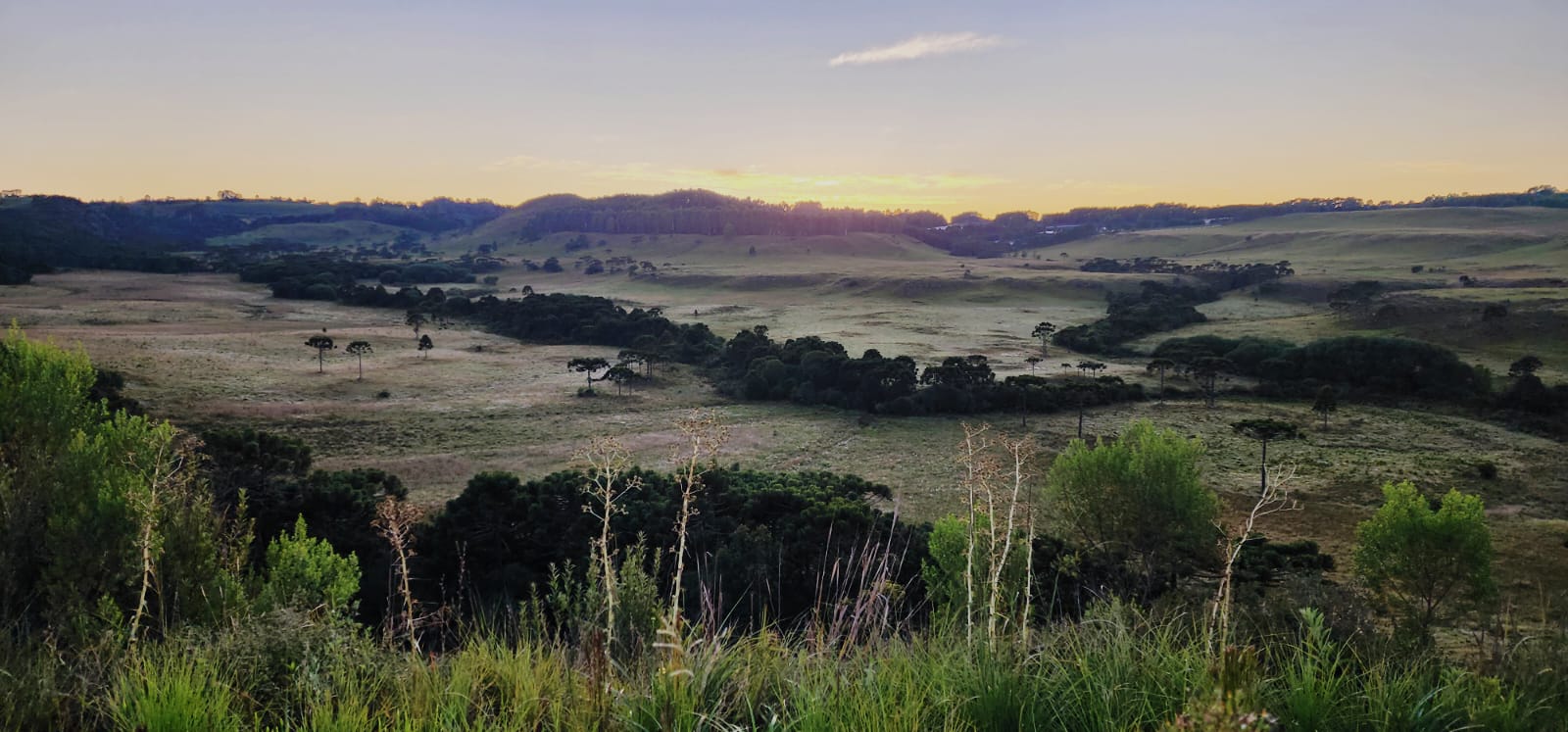 WhatsApp Image 2026-01-26 at 09.26.50