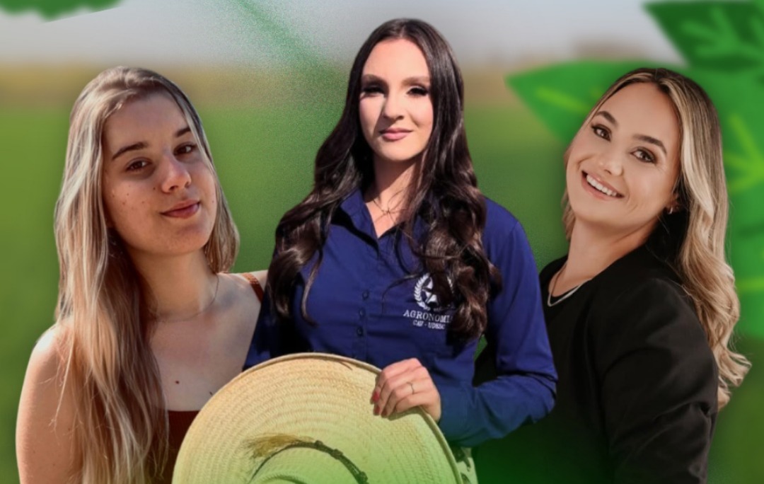 WhatsApp Image 2026-01-28 at 17.21.57