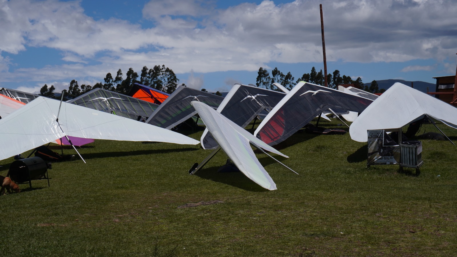 WhatsApp Image 2026-01-28 at 18.01.05