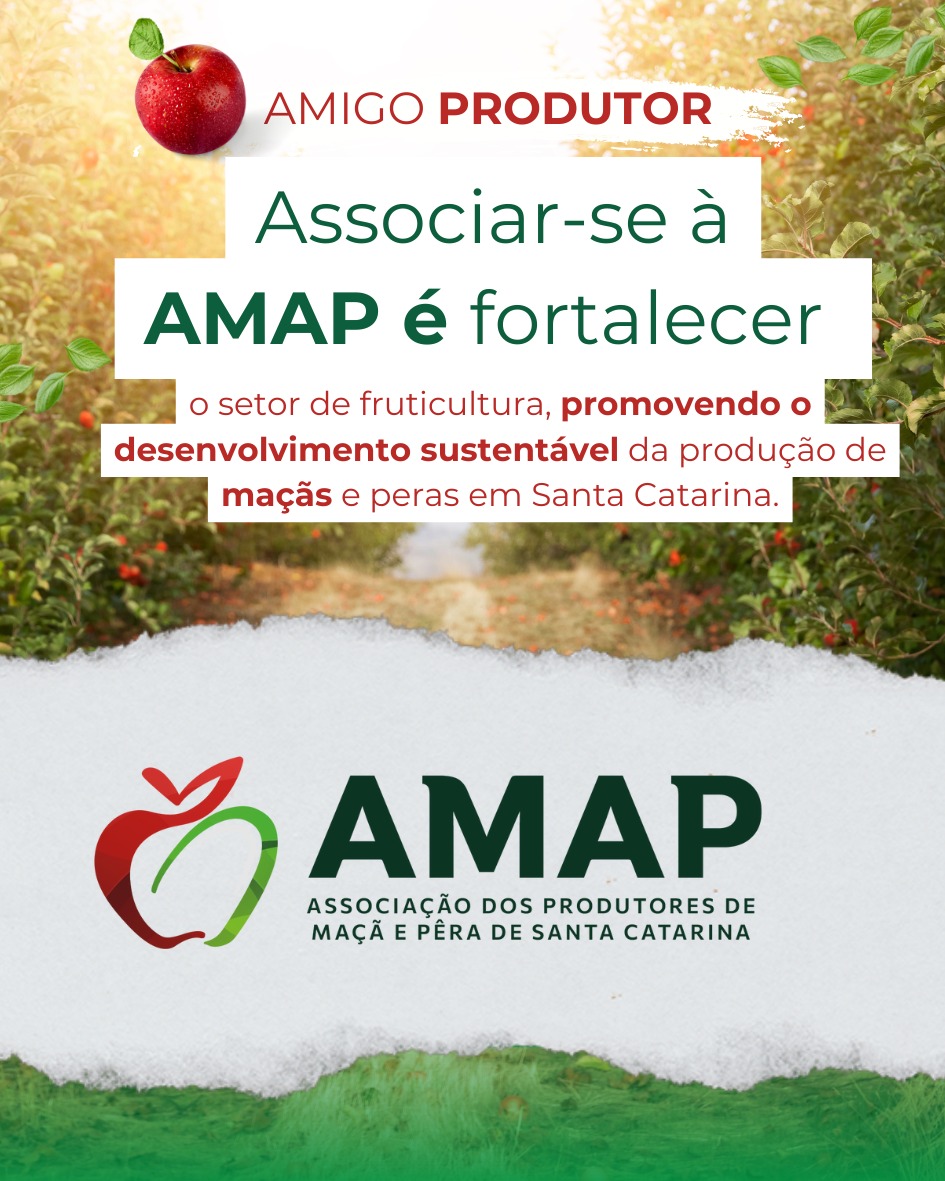 WhatsApp Image 2026-02-07 at 10.41.14 client-image