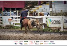 Rodeio da Maçã reúne tradicionalistas e movimenta a 25ª Festa Nacional da Maçã