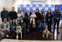 Cães comunitários de Lages receberão coleiras com identificação via QR Code