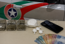 Mulher é presa por tráfico de drogas em estabelecimento comercial de São Joaquim