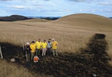 Parque Nacional de São Joaquim realiza Manejo Integrado do Fogo para prevenir grandes incêndios e conservar os campos de altitude