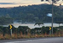 Frio retorna ao topo da Serra Catarinense e São Joaquim registra 0,4°C com geada isolada