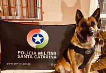 Polícia Militar apreende mais de 1,1 quilo de maconha após ocorrência de ameaça em Lages