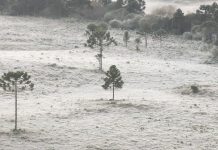 Frente fria derruba temperaturas e Serra Catarinense pode ter geada e temperaturas negativas