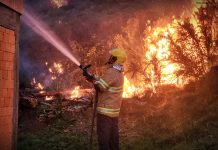 Incêndio em vegetação se aproxima de residências e mobiliza Bombeiros em São Joaquim