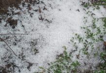 Chuva de granizo é registrada na região entre Várzea e Bom Jardim da Serra