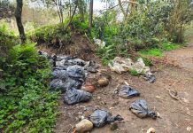 Cães mortos são encontrados dentro de sacos de lixo às margens da antiga BR-2 em Lages