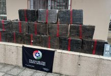 Polícia Militar apreende cerca de 318 quilos de maconha na BR-282, em São José do Cerrito