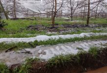 Granizo atinge municípios da Serra Catarinense e Defesa Civil mantém alerta para chuva volumosa