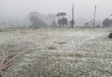 Granizo de grande porte assusta moradores e produtores rurais em São Joaquim
