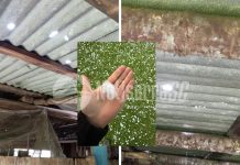 Granizo de grande porte causa danos em telhados e preocupa produtores rurais em São Joaquim